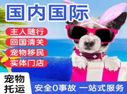 上海机场快递国际宠物托运 【国